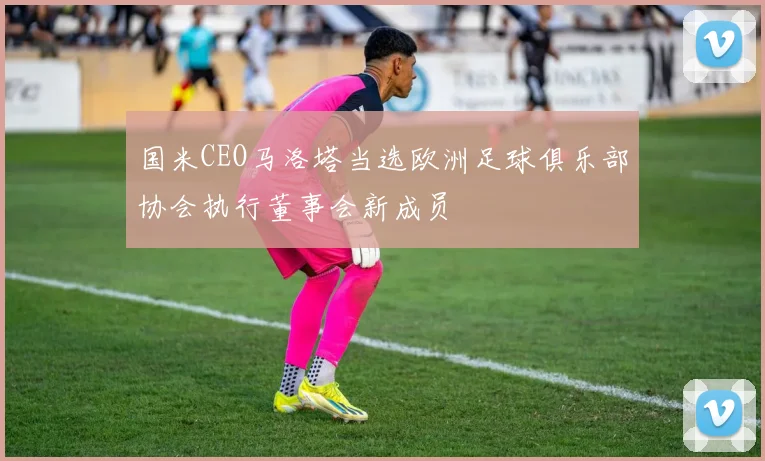 国米CEO马洛塔当选欧洲足球俱乐部协会执行董事会新成员