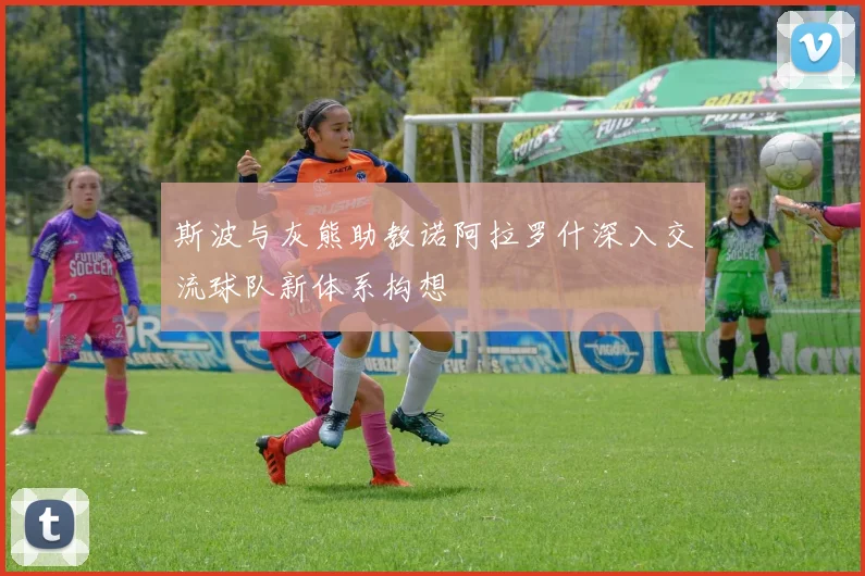 斯波与灰熊助教诺阿拉罗什深入交流球队新体系构想
