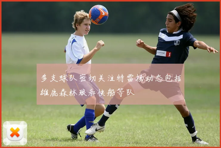 多支球队密切关注特雷杨动态包括雄鹿森林狼和快船等队
