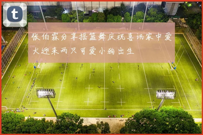 张伯霖分享摇篮舞庆祝喜讯家中爱犬迎来两只可爱小狗出生
